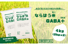 ならはう米GABA+　4kg　福島県楢葉町産天のつぶ　【GABA米 米 福島 天のつぶ 白米 玄米 栄養 天のつぶ 楢葉町 福島県産 健康米 機能性 GABA 軽洗米 アミノ酸 血圧低下 ストレス緩和 睡眠 国産米 贈り物 ごはん】