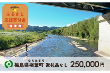 【返礼品なしの寄附】福島県楢葉町 250,000円 ［福島県 福島 楢葉町 寄附 おうえん 応援 しえん 支援 応援寄付金 寄付のみ 返礼品なし 返礼品なしの寄付 250,000円］