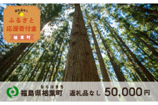 【返礼品なしの寄附】福島県楢葉町 50,000円 ［福島県 福島 楢葉町 寄附 おうえん 応援 しえん 支援 応援寄付金 寄付のみ 返礼品なし 返礼品なしの寄付 50,000円］