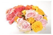 【福島県富岡町からお届け】薔薇の花束各色2本ずつ、10本セット