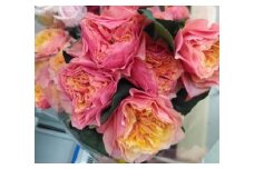 薔薇の花束単色10本セット【ケンジントンガーデン（オレンジピンク色）】