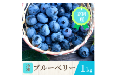 富岡産冷凍ブルーベリー　