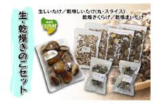【遠藤きのこ園】生きのこ・乾燥きのこ詰め合わせセット（しいたけ・きくらげ・まいたけ）
