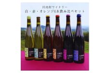 【ふるさと納税】国産ワイン 6本セット（白・赤・オレンジ）飲み比べ｜かわうちワイナリー LIBEL 自然派 クラフトワイン 福島県 川内村【限定醸造】