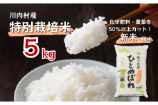 令和6年度 かわうち産 特別栽培米 ひとめぼれ 5kg