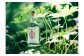 【ふるさと納税】【naturadistill】固有種蒸溜酒 クラフトジン【500ml】