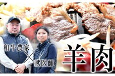メルティーシープ　ジンギスカン肉500g（250g×２パック）　ホゲット　国産サフォーク種　羊肉　液体急速冷凍【大好評につき最大9か月待ち】