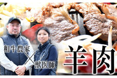 メルティーシープ　ジンギスカン肉250g（250g×１パック）　国産羊肉　液体急速冷凍