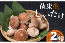 葛尾村産菌床しいたけ2kg