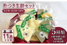 《2023年11月中旬発送》杵つき生餅６枚入り×８個セット！白餅・草餅・菜の花餅(カボチャ餅)・豆餅・じゅうねん餅【5種類】
