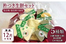 《2023年12月中旬発送》杵つき生餅６枚入り×８個セット！白餅・草餅・菜の花餅(カボチャ餅)・豆餅・じゅうねん餅【5種類】