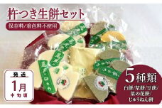 《2023年12月下旬～2024年1月中旬発送》杵つき生餅６枚入り×８個セット！白餅・草餅・菜の花餅(カボチャ餅)・豆餅・じゅうねん餅【5種類】