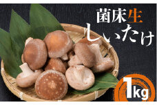 葛尾村産菌床しいたけ1kg