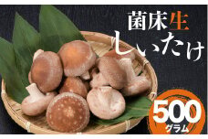 葛尾村産菌床しいたけ500g