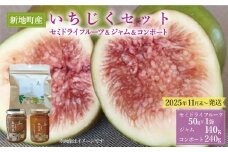 国産 いちじくを使った セミドライフルーツ(50g)  ジャム(140g) コンポート(240g)セット 福島県 新地町産 | フルーツ 果物 無花果 ドライイチジク イチジクジャム いちじくコンポート フィグ