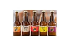 結城麦酒クラフトビール5本セット【1364118】