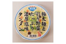 ニュータッチ凄拉麺　極太麺と彩り野菜たっぷり濃厚塩味タンメン12個【1380957】