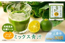 ベルファームの冷凍ミックス青汁 茨城県産ケール使用 100g×30袋 ＜離島・沖縄配送不可＞【1443686】