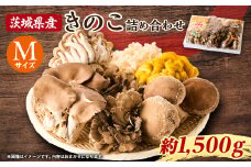 きのこの詰め合わせ　M(約1500g)【1449115】
