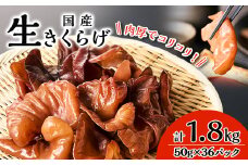 コリコリ食感!生きくらげ【1461806】