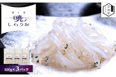 ＜先行予約＞霞ヶ浦　暁のしらうお　100g×3パック【1583295】
