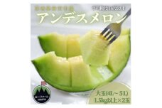 ＜先行受付＞令和8年4月順次発送 茨城県鉾田市 山一ファーム アンデスメロン 大玉 4L～5L・2玉【1590729】