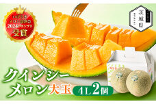 ＜先行受付＞令和8年4月順次発送 茨城県鉾田市 山一ファーム クインシーメロン 大玉4L～5L・2玉【1590731】