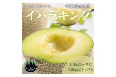 ＜先行受付＞令和8年5月順次発送 茨城県オリジナル品種!! イバラキング 4L～5L・1玉 数量限定【1590733】