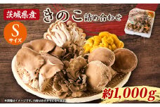 茨城県城里町産 きのこの詰め合わせ Sサイズ 約1kg【1593968】