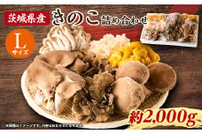 茨城県城里町産 きのこの詰め合わせ Lサイズ 約2kg【1593969】