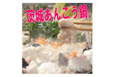 茨城あんこう鍋 4人前セット あんこう切身700gと濃縮スープ400g【1592569】