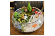 苔(コケ)とジオラマ、フィギュアを使ったテラリウム作り!!【1593797】