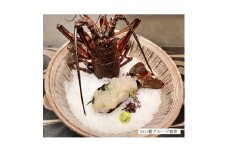 常陸乃国いせ海老 1尾(600～700g) 冷凍【1597555】