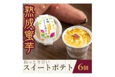 熟成蜜芋 ねっとり甘い 半熟スイートポテト120g×6個【1618095】