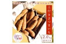 ＜先行受付＞11月下旬より発送!茨城県 ひたちなか産 さつまいも 紅はるか 箱込2kg＜訳あり＞【1631624】