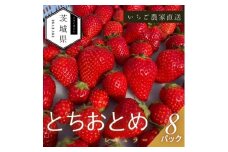 ＜2026年1月より順次発送予定＞風早いちご園 とちおとめ レギュラー 250g×8パック【1647794】