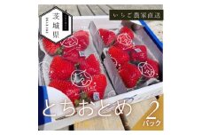 ＜2026年1月順次発送＞風早いちご園  とちおとめ 特選デラックス 2パック【1647797】