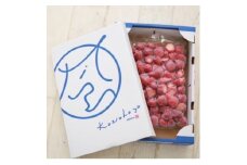 風早いちご園 とちおとめ 冷凍いちご2kg(1kg×2パック) 真空冷凍 長期保存【1647801】