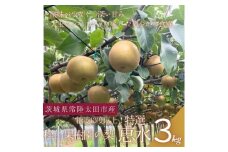 ＜数量限定!＞桧山果樹園の茨城県ブランド梨　特選恵水3kg【1645133】