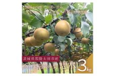 ＜数量限定!＞桧山果樹園の茨城県ブランド梨　恵水3kg【1645134】