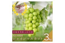 ＜数量限定!＞桧山果樹園のシャインマスカット　3kg【1645136】