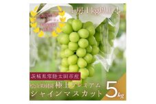 ＜数量限定!＞桧山果樹園のプレミアムシャインマスカット　5房(約5kg以上)【1645137】