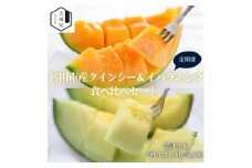 ＜発送月固定定期便＞5・6月発送 山一ファーム メロン食べ比べ(クインシーとイバラキング)全2回【4071253】