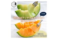 ＜発送月固定定期便＞4・5月発送 山一ファーム 鉾田市 メロン食べ比べ(アンデスとクインシー)全2回【4071254】