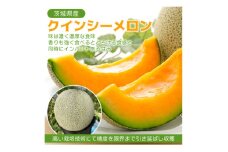 ＜内山農園＞いばらきメロンコンテスト2025クインシーメロン(1玉1.5k)2026年5月～発送開始【1635776】