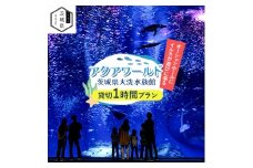 アクアワールド茨城県大洗水族館　貸切1時間プラン(オーシャンホールにイルカが遊びに来る)【1424654】
