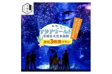 アクアワールド茨城県大洗水族館　貸切3時間プラン(イルカ・アシカオーシャンライブ付)【1424655】