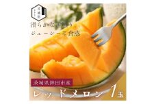 ＜優秀賞受賞農家直送＞鉾田市産レッドメロン　1.6kg以上×1玉　(※26年5月～発送予定)【1656396】