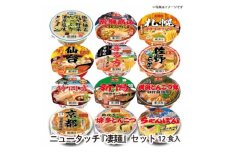 ニュータッチ凄麺12食詰合せセット【1406254】