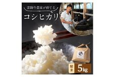 令和7年産 茨城県産 常陸牛農家が育てた コシヒカリ 精米 5kg【1354560】